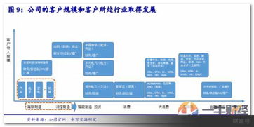 攜手科技巨頭，揭秘這家IT咨詢公司的獨特魅力